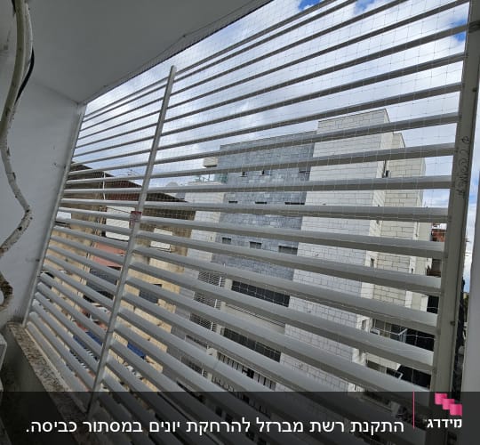 רשת למניעת כניסת יונים על חלון מרפסת